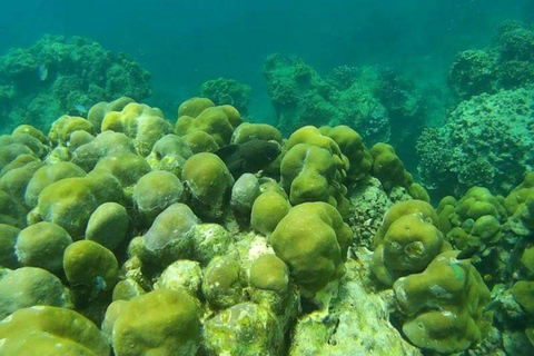 Phi Phi : Excursion d'une demi-journée à Phi Phi pour faire de la plongée en apnée en bateau à longue queue