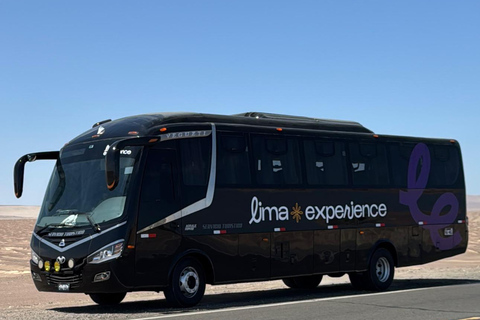 Paracas e Huacachina: Ilhas, Dune Buggy e Piquenique ao Pôr do SolParacas e Huacachina: Ilhas, Buggy nas Dunas e Piquenique ao Pôr do Sol