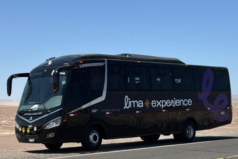 Paracas e Huacachina: Ilhas, Dune Buggy e Piquenique ao Pôr do SolParacas e Huacachina: Ilhas, Buggy nas Dunas e Piquenique ao Pôr do Sol