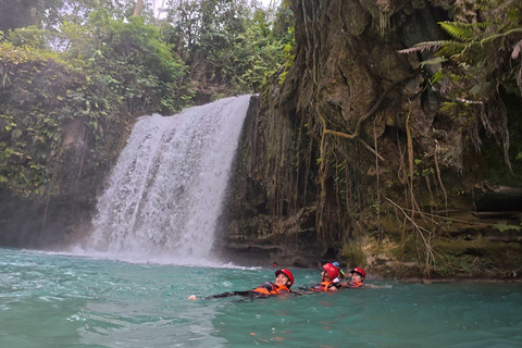 Cebu: Oslob Whaleshark Watching Canyoneering private pick up