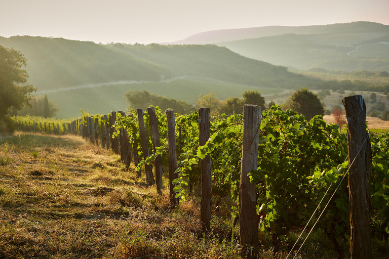 From Tbilisi: Kakheti Day Trip with Wine Tasting