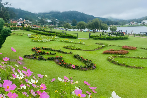 From Colombo: 5-Day Private Sri Lanka Tour with Driver