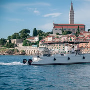 Rovinj: Premium sunset experience with dolphin watching