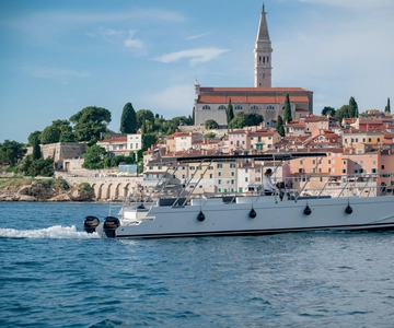 Rovinj: Zonsondergang & dolfijn groepstours met catamaran