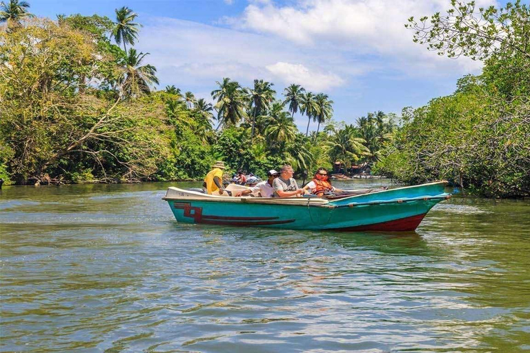 From Colombo: Bentota Day Tour with Madu River Safari