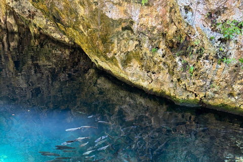 Puerto Plata: Laguna Dudú, Caletón Beach, and Secret Cave Expedition Puerto Plata: Laguna Dudú Expedition, Caletón Beach, and Secret Cave