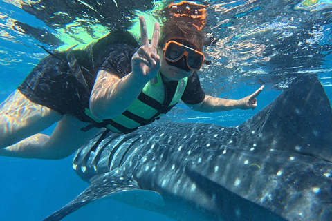 Cebu: Oslob Whaleshark Watching Canyoneering privé ophalen