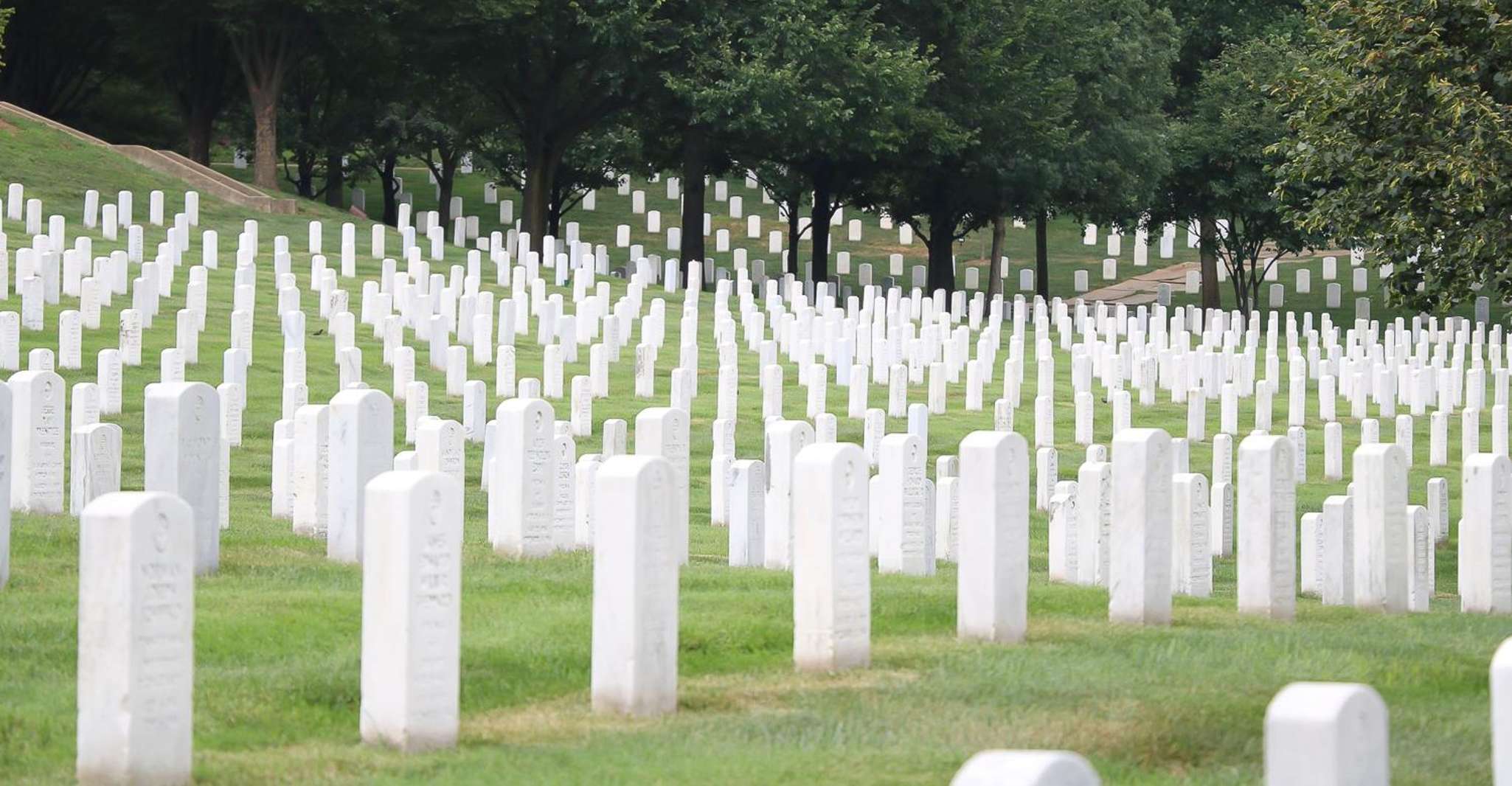 From NYC, Guided Day Trip to Washington DC by Van or Bus - Housity