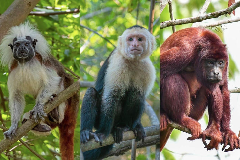 Villanueva: Fundación Loros Sunset Tour with Winetasting