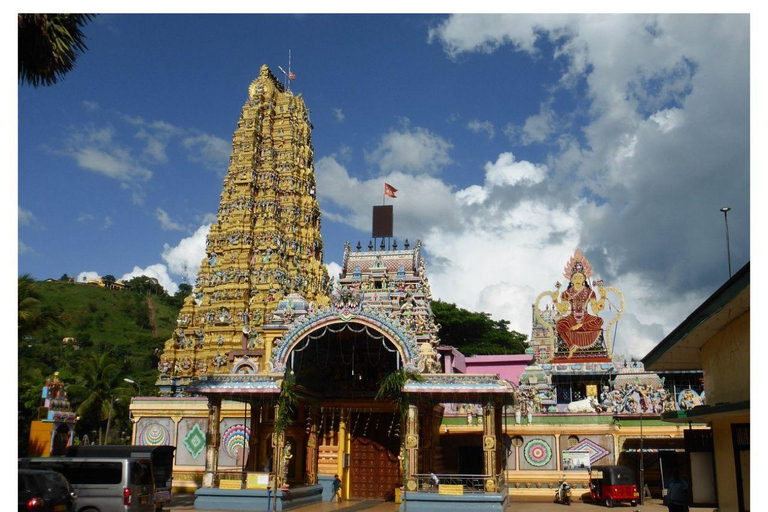 Kandy : Sigiriya - Dambulla Dagsutflykt