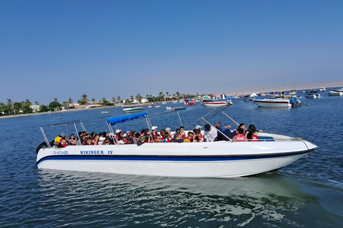 Lima: Viagem de 1 dia a Paracas e ao Oásis de Huacachina com vinho e dunas