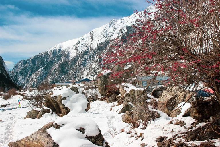 5 days Langtang Valley Trek