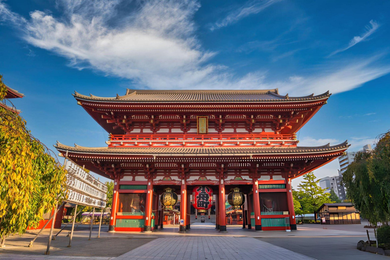 Best of Tokyo: Guided Full Day City Tour with Lunch