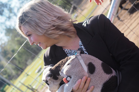 Alpaca Feeding with Wildlife & Nature Park VIP Private Tour Tour + Brisbane Airport or Cruise Terminal Drop-off