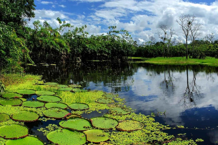 Iquitos: 2 days in the Amazon, natural wonder of the world