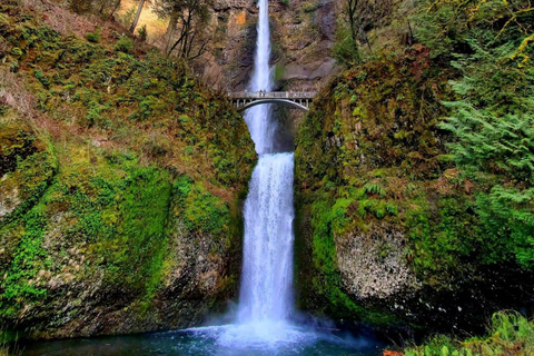 Mt Hood &amp; Columbia River Prywatna wycieczka z Portland