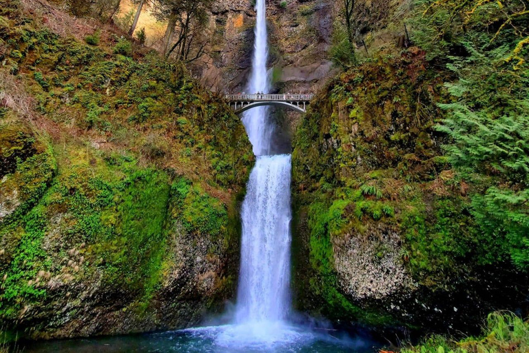 Mt Hood &amp; Columbia River Privétour vanuit Portland