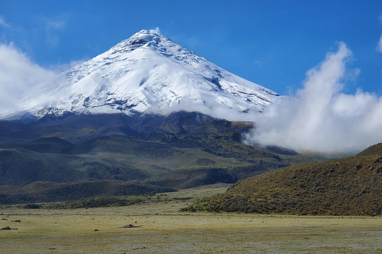 From Quito: Private Andes Tour to Cotopaxi & Quilotoa Lagoon