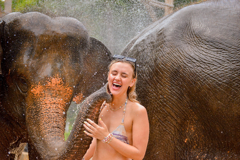 Phuket: HAPPY HOUR! Futter und Regendusche mit Meerblick