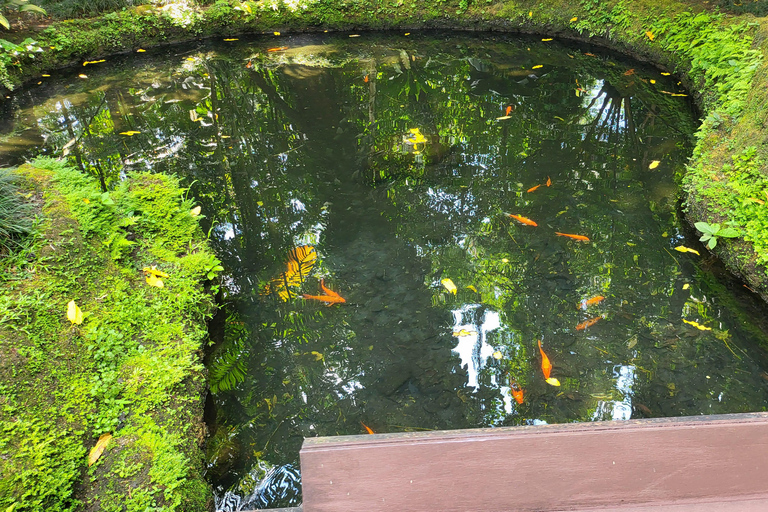 Hidden Valley Springs | Lunch | Taal Volcano Viewing (2in1)