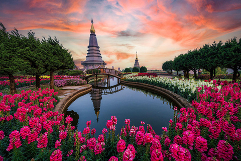 Chiang Mai: Excursión a Doi Inthanon y Santuario de ElefantesServicio de recogida del hotel