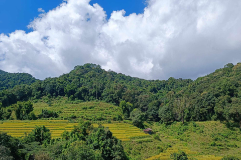 Chiang Mai : Parc national de Doi Inthanon et sanctuaire des éléphants