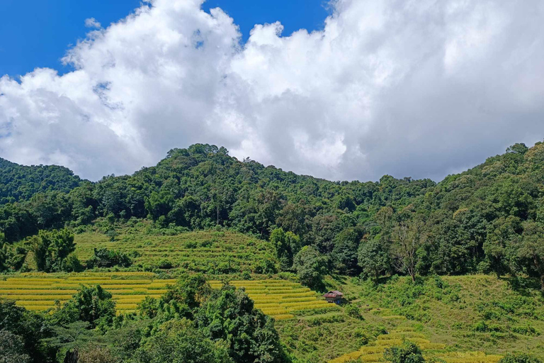 Chiang Mai: Doi Inthanon Park Vandring &amp; Elefanternas fristadChiang Mai: Doi Inthanon nationalpark &amp; elefanternas fristad