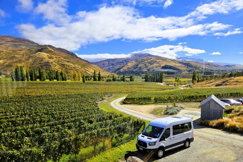 Queenstown: Premium Full-Day Central Otago Wine Tasting Tour