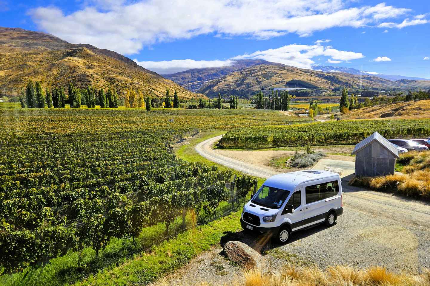 Queenstown: Premium Full-Day Central Otago Wine Tasting Tour - Queenstown: Premium Full-Day Central Otago Wine Tasting Tour