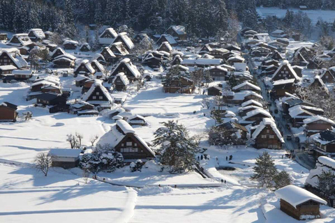 Escursione privata di una giornata a Shirakawa-go e Takayama