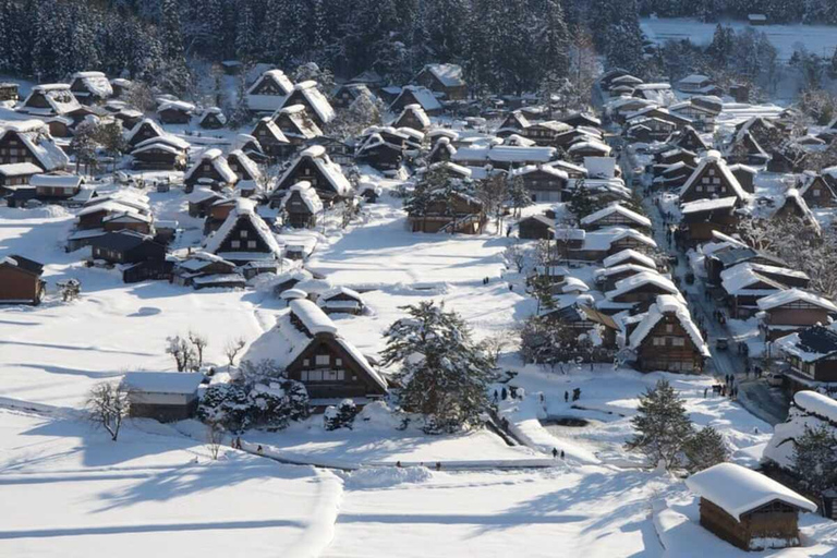 Escursione privata di una giornata a Shirakawa-go e Takayama