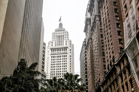 Six-Hour City Tour of São Paulo