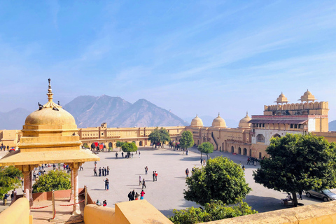 Visite de la ville de Jaipur et du temple des singes en véhicule climatisévisite d'une journée de 2 jours à jounée avec le temple des singes