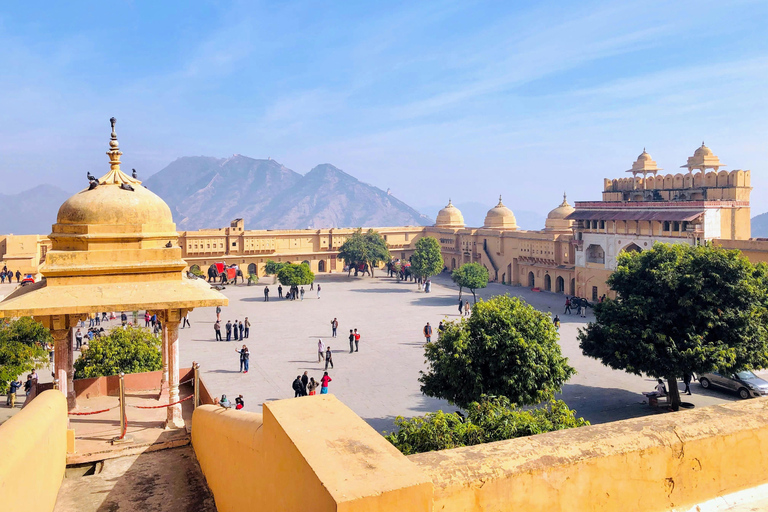 Visite de la ville de Jaipur et du temple des singes en véhicule climatisévisite d'une journée de 2 jours à jounée avec le temple des singes