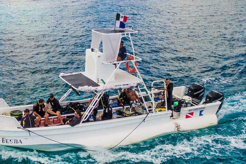 Privado: mergulho na Ilha Catalina com almoçoPrivado: Mergulho na Ilha Catalina com almoço