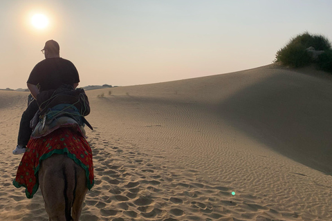 زيارة معالم جيسلمير مع جولة على الجمال ورحلة السفاري في الصحراء وخيارجولة في مدينة جيسالمير مع رحل