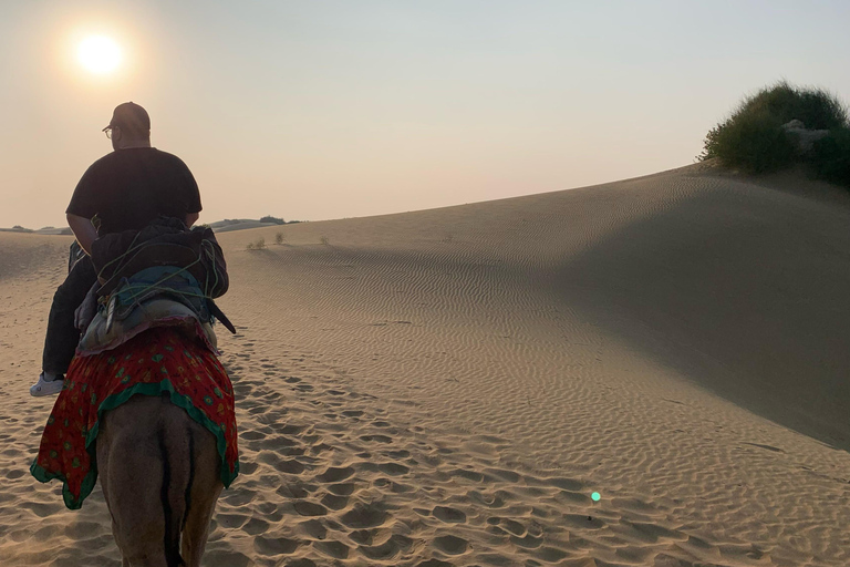 زيارة معالم جيسلمير مع جولة على الجمال ورحلة السفاري في الصحراء وخيارجولة في مدينة جيسالمير مع رحل