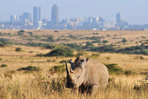 Mombasa/Diani: Private Overnight Tsavo East Safari