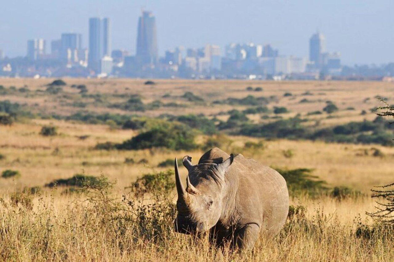Mombasa/Diani: Private Overnight Tsavo East Safari