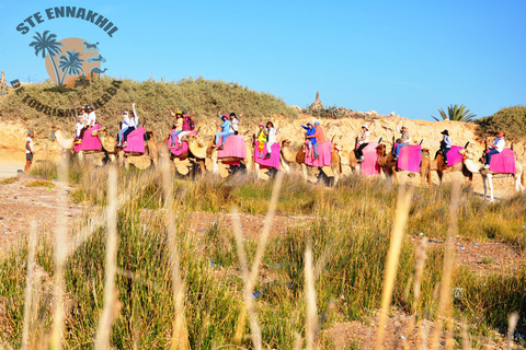 Djerba: Giro in cammello verso la Laguna Blu al tramonto