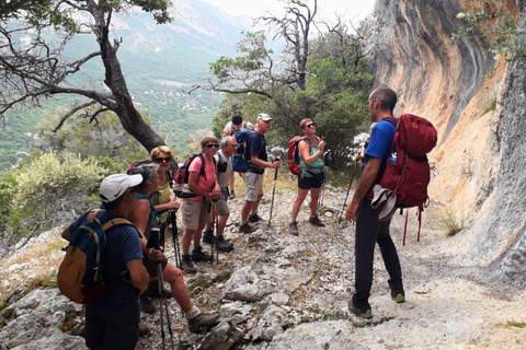 From Cala Gonone: Tiscali Nuragic Village Trekking Tour