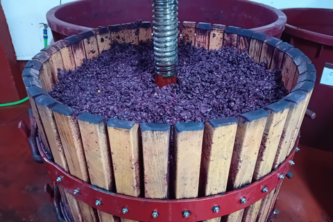 Excursão a Ribera del Duero: 2 adegas com transporte a partir de MadridExcursão à Ribera del Duero: 2 adegas com transporte saindo de Madrid