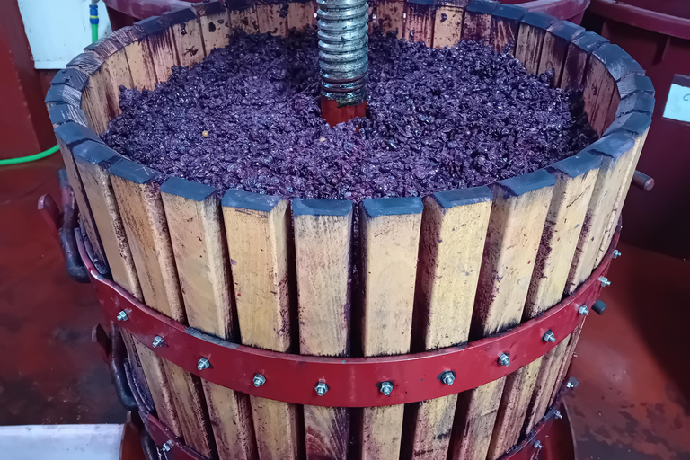 Excursão a Ribera del Duero: 2 adegas com transporte a partir de MadridExcursão à Ribera del Duero: 2 adegas com transporte saindo de Madrid