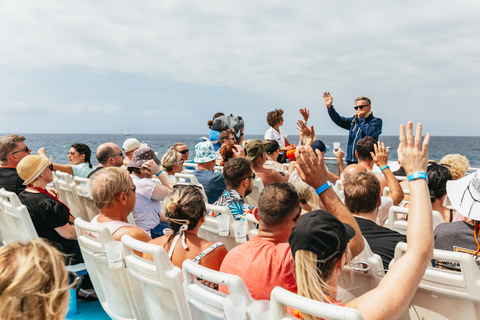 Depuis Adeje : croisière baleines et dauphins avec déjeunerVisite guidée sans prise en charge à l’hôtel