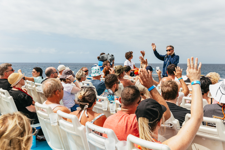 Ab Adeje: Delfin- & Walbeobachtungstour mit MittagessenTour ohne Hotelabholung