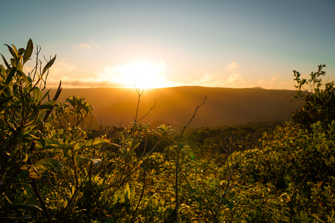 Maurice : randonnée guidée dans les gorges de la Rivière NoireMaurice : Randonnée guidée dans les gorges de la Rivière Noire