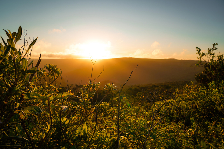 Maurice : randonnée guidée dans les gorges de la Rivière NoireMaurice : Randonnée guidée dans les gorges de la Rivière Noire