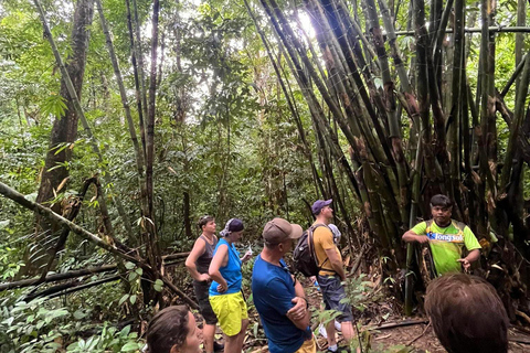 Khao Sok: Trekking privado de um dia, jantar na selva e safári noturno