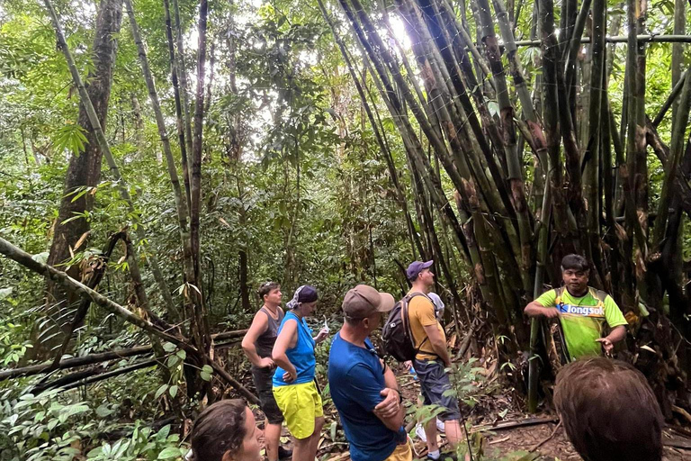 Khao Sok: Privat dagsvandring, djungelmiddag och nattsafari