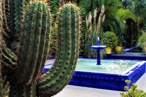 Marrakech: Majorelle Tuin met YSL & Berber Museum OptieMajorelle Tuin Ticket